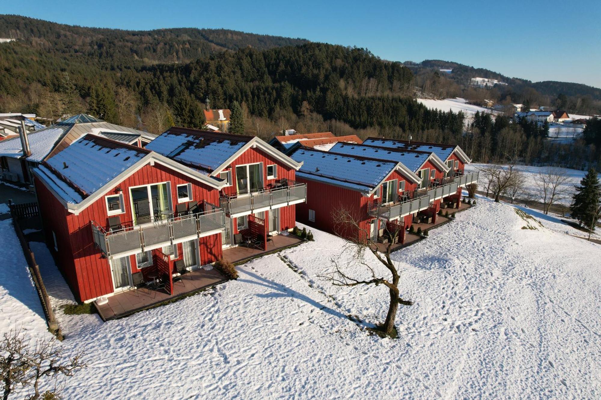 Village Hotel Bayerischer Wald Neukirchen  Exteriér fotografie