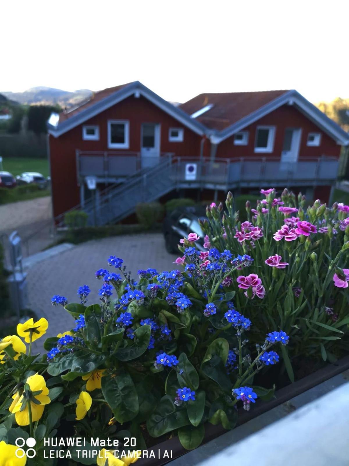 Village Hotel Bayerischer Wald Neukirchen  Exteriér fotografie