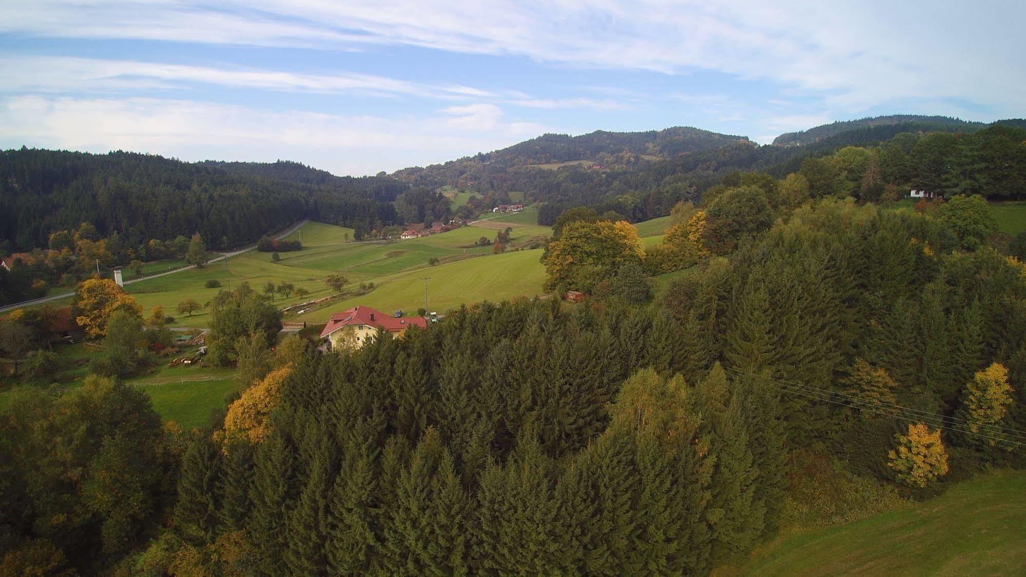 Village Hotel Bayerischer Wald Neukirchen  Exteriér fotografie