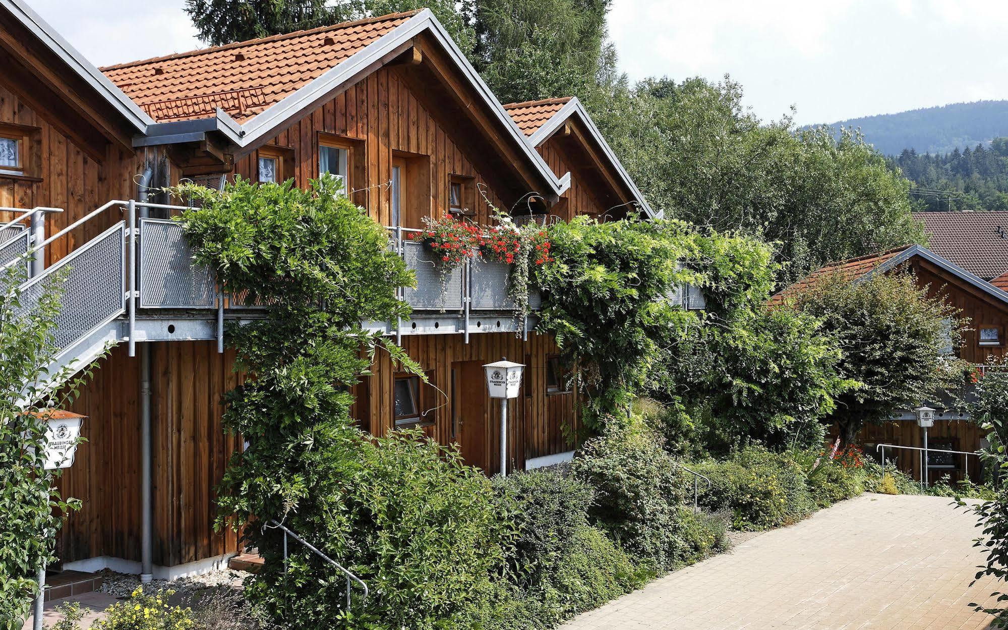 Village Hotel Bayerischer Wald Neukirchen  Exteriér fotografie