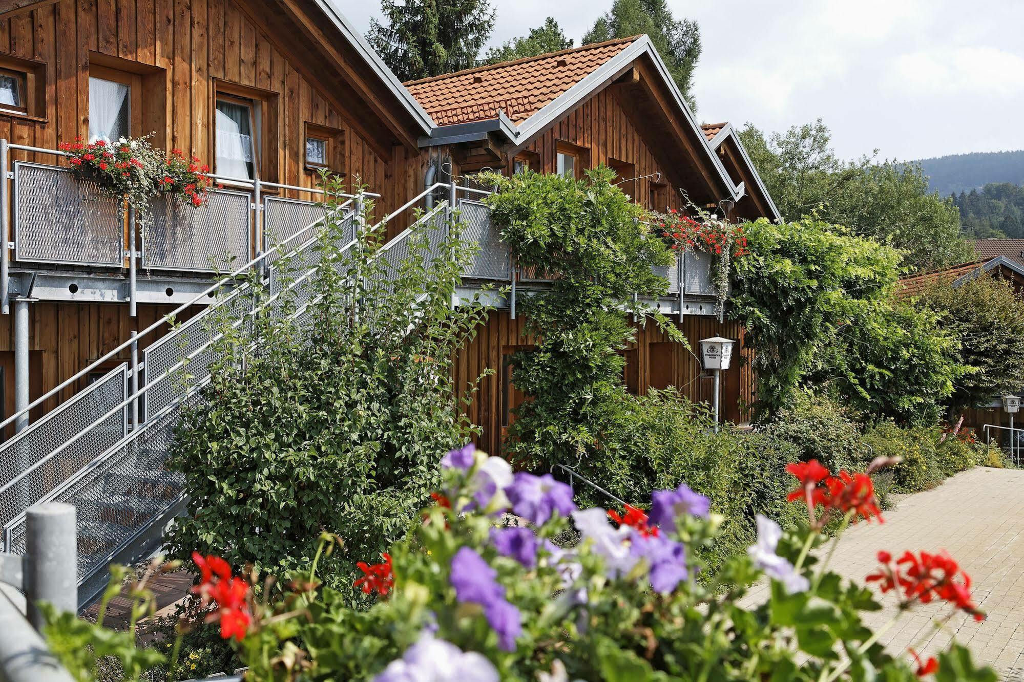 Village Hotel Bayerischer Wald Neukirchen  Exteriér fotografie